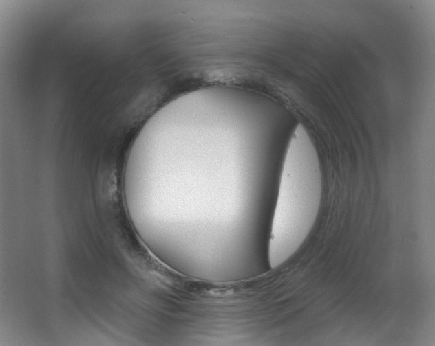 X0000062860502200601130951