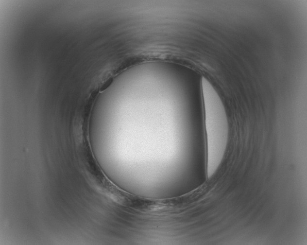 X0000062860504200601130951