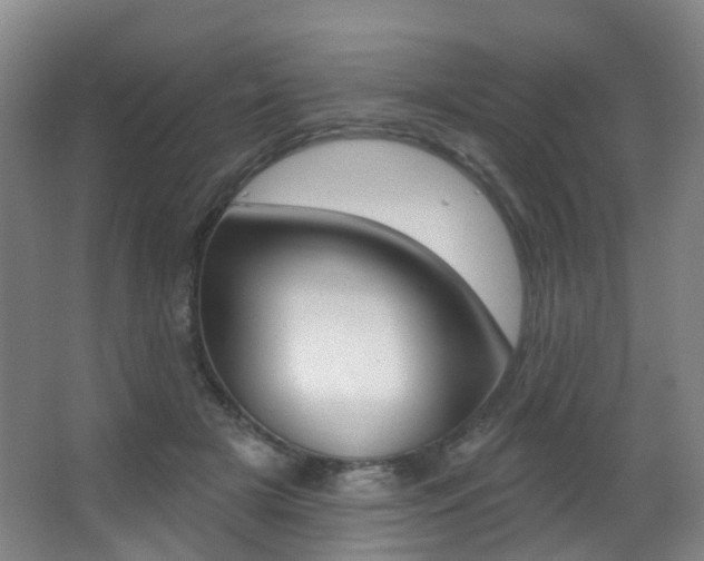 X0000062860505200601130951