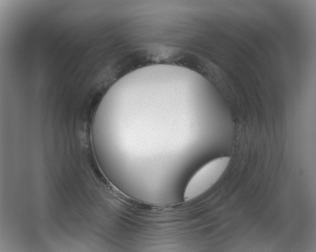 X0000062860510200601130951