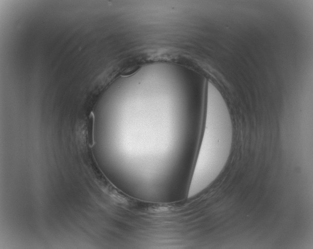 X0000062860513200601130951