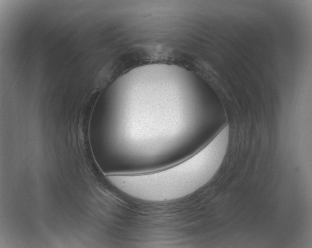 X0000062860516200601130951