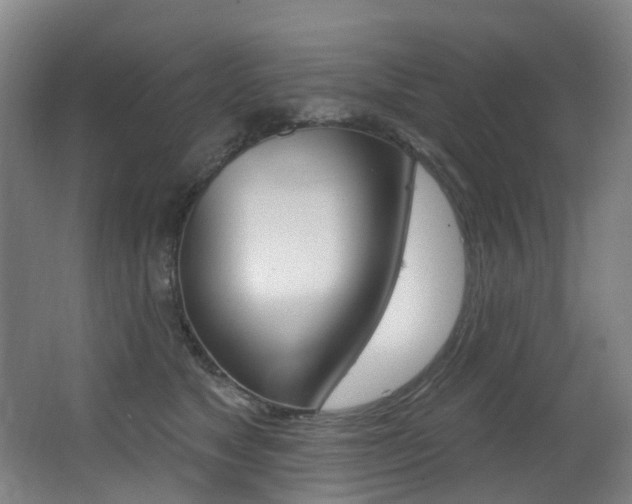 X0000062860517200601130951