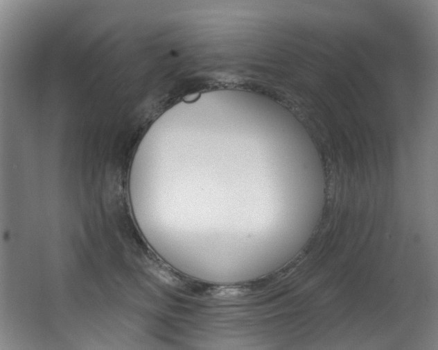 X0000062860518200601130951