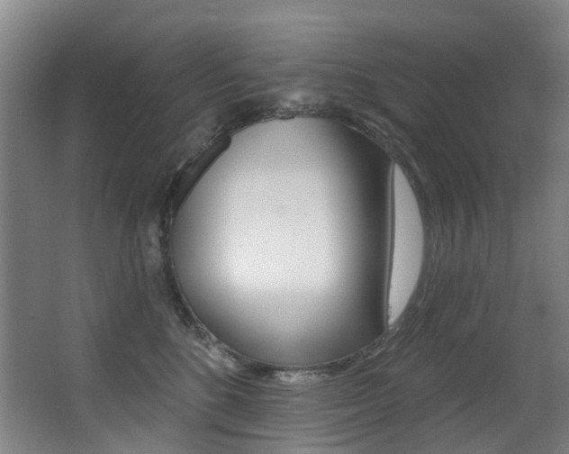 X0000062860520200601130951