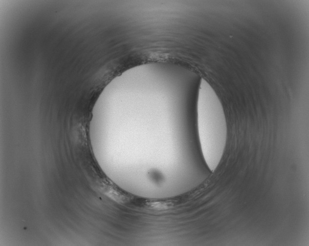 X0000062860522200601130951