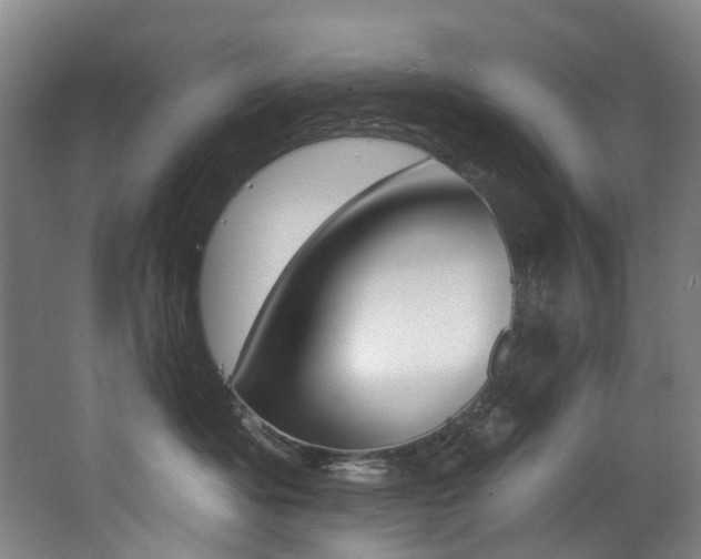 X0000062860525200601130951