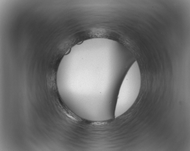 X0000062860526200601130951