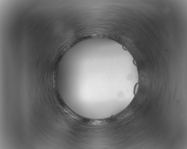 X0000062860527200601130951