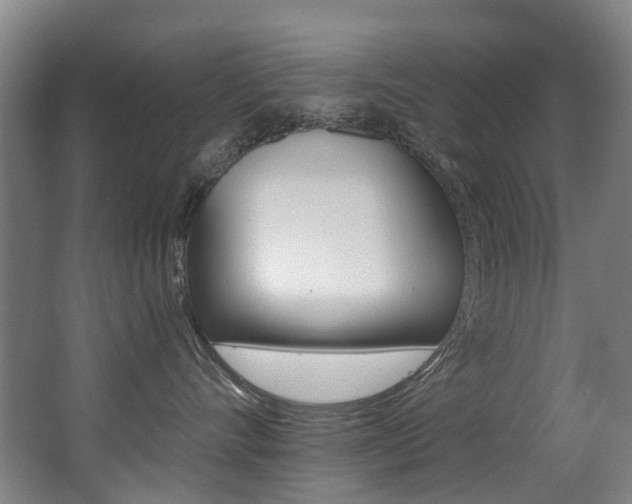 X0000062860528200601130951