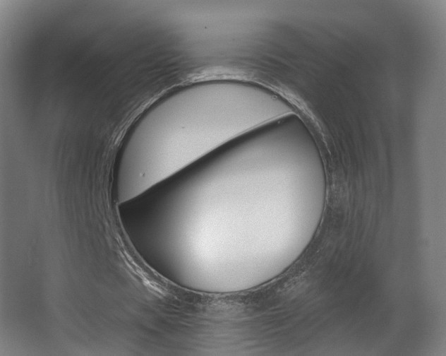 X0000062860529200601130950