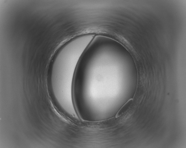 X0000062860530200601130950