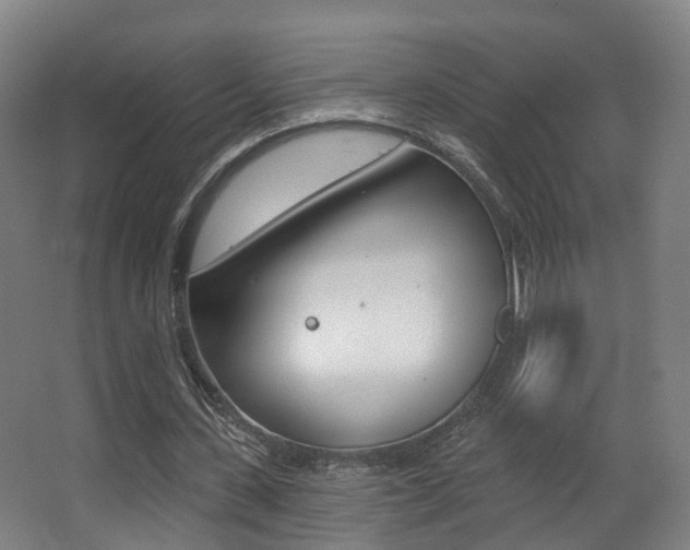 X0000062860531200601130950