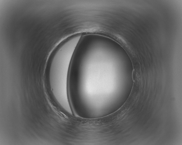 X0000062860532200601130950