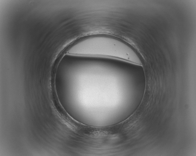 X0000062860535200601130950