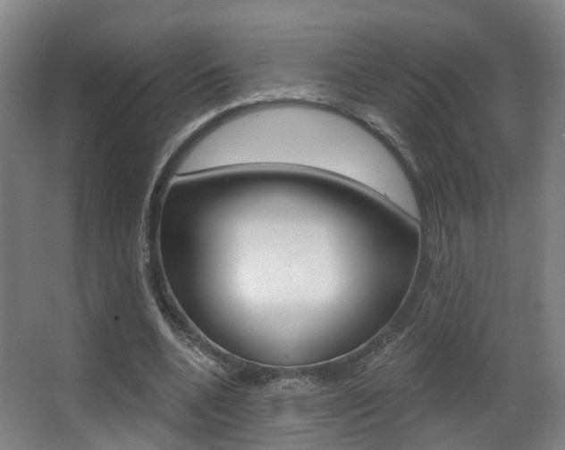 X0000062860536200601130950