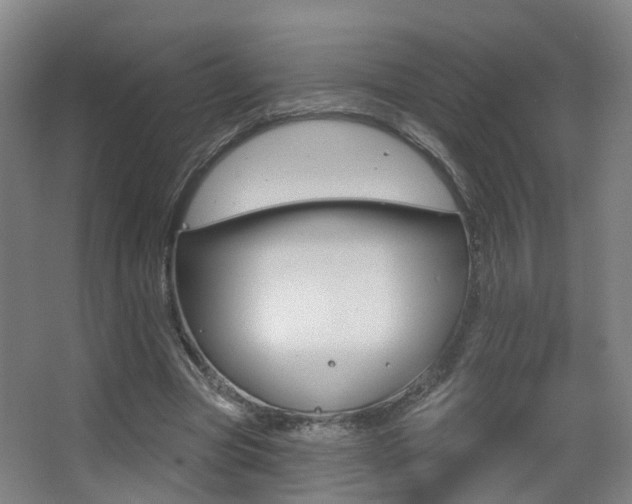 X0000062860537200601130950