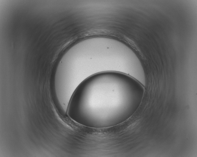 X0000062860538200601130950