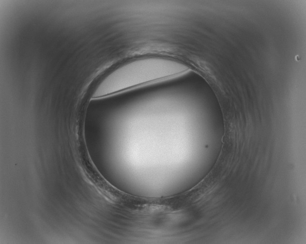 X0000062860539200601130950