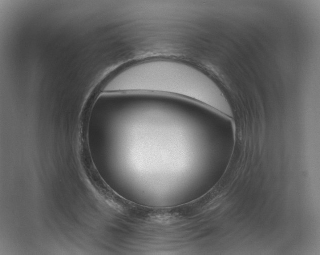 X0000062860540200601130950