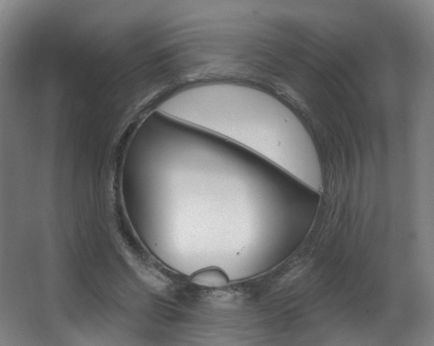X0000062860542200601130950