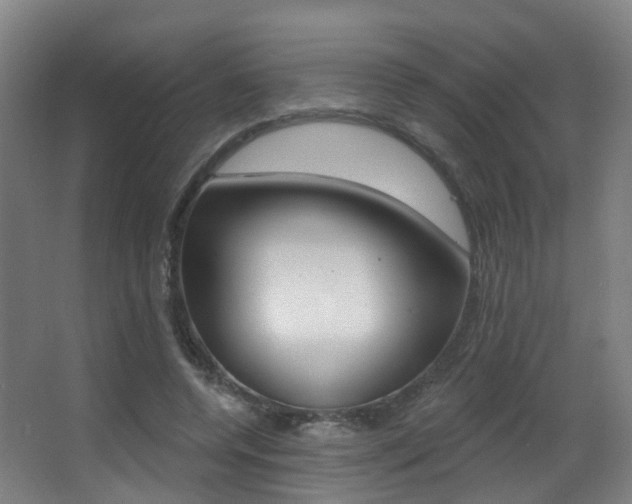 X0000062860544200601130950