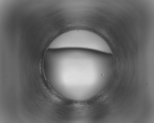 X0000062860545200601130950