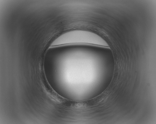 X0000062860546200601130950