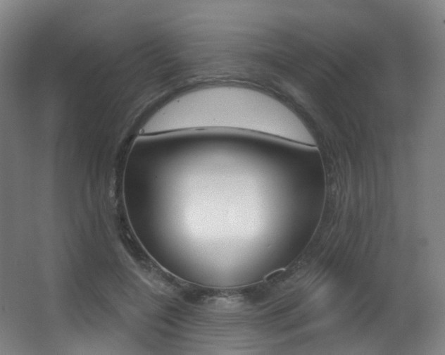 X0000062860548200601130950
