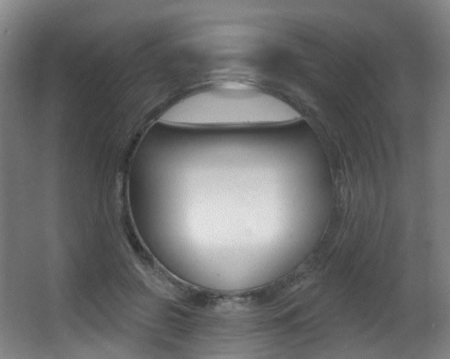 X0000062860550200601130950