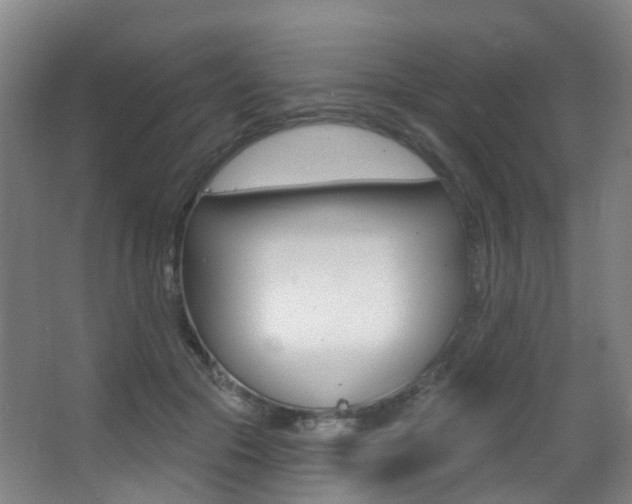 X0000062860553200601130950