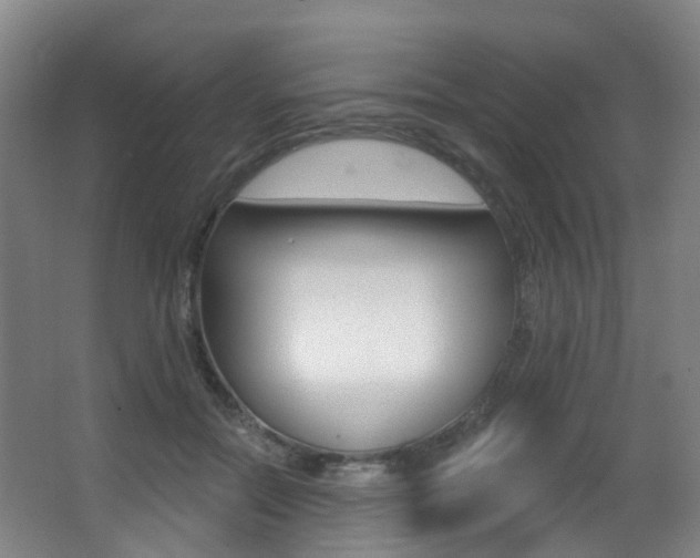 X0000062860554200601130950