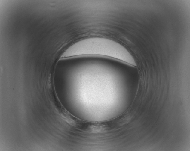X0000062860556200601130951
