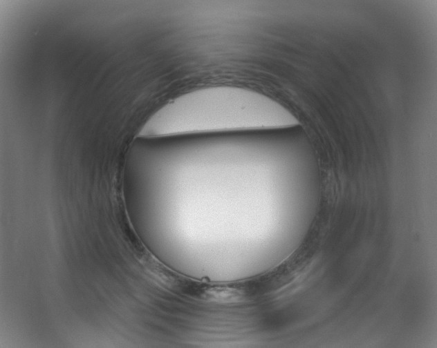 X0000062860557200601130951