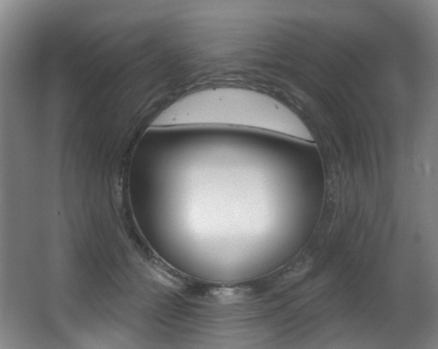 X0000062860558200601130951