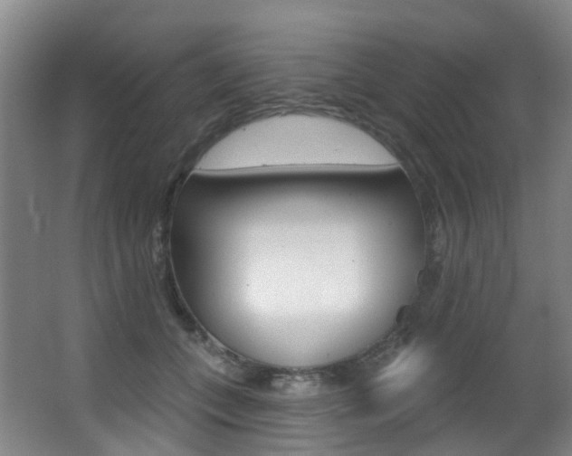 X0000062860559200601130951