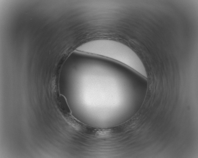 X0000062860560200601130951