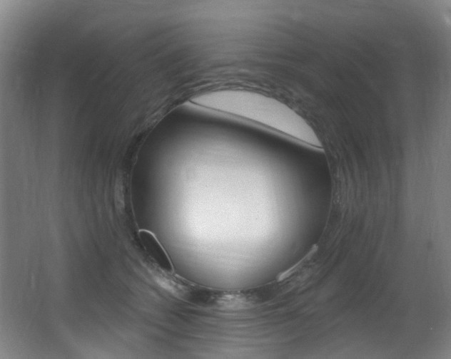 X0000062860562200601130951