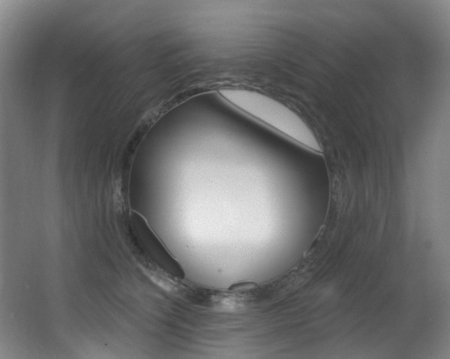 X0000062860564200601130951