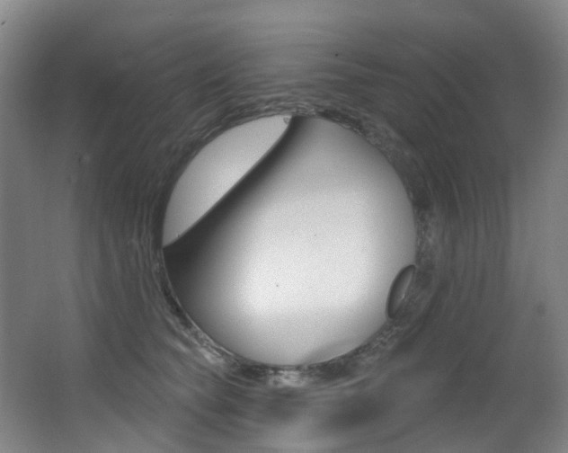 X0000062860565200601130951