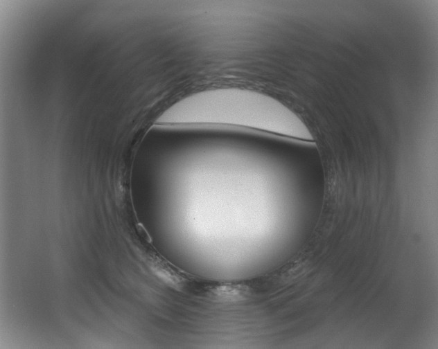 X0000062860566200601130951