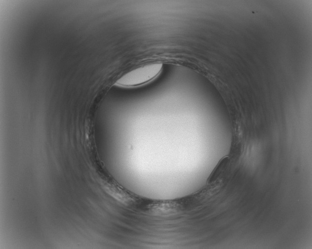 X0000062860567200601130951