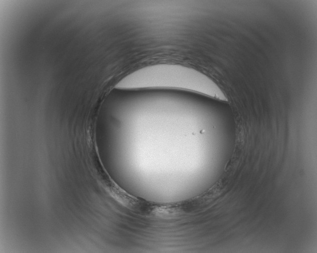 X0000062860568200601130951