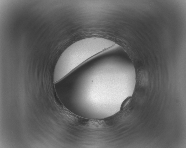 X0000062860571200601130951