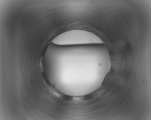 X0000062860573200601130951