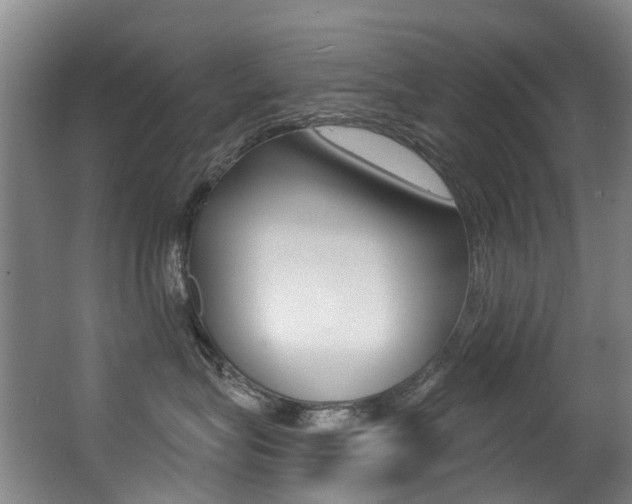 X0000062860575200601130951