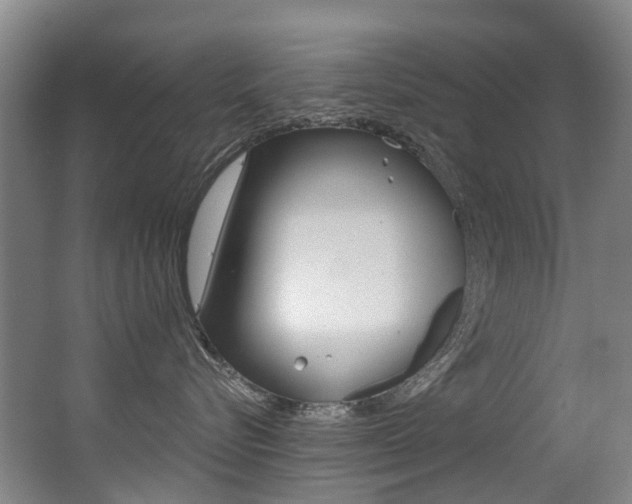 X0000062860576200601130951