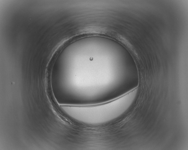 X0000062860580200601130950
