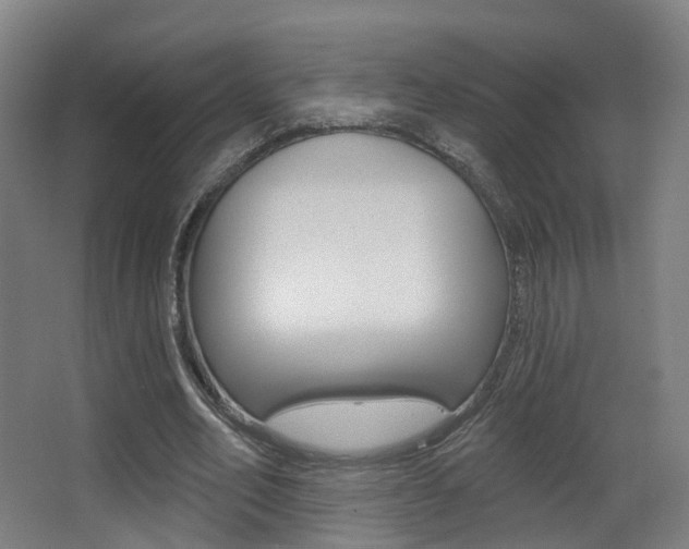 X0000062860582200601130950