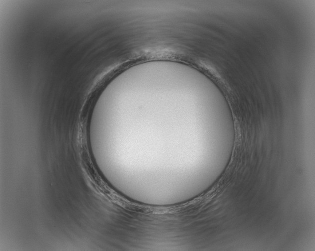 X0000062860583200601130950